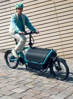 Riese and Muller Carrie Electric Bike Aqua-9